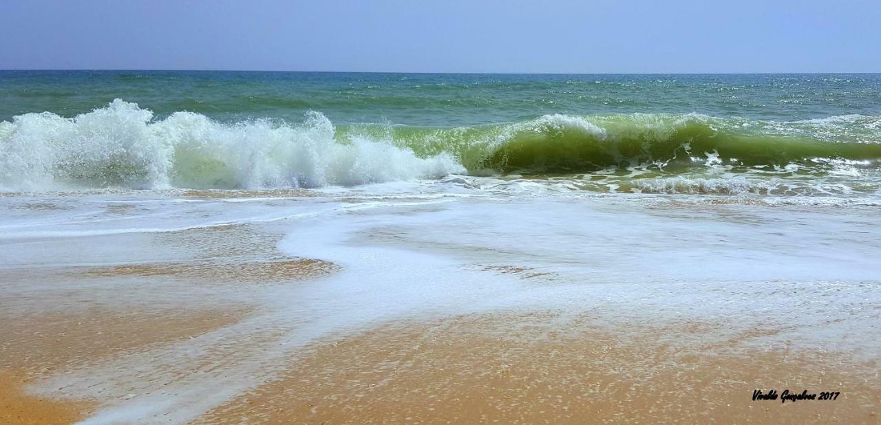 Shinning Waves Apartment Armação de Pêra Eksteriør bilde